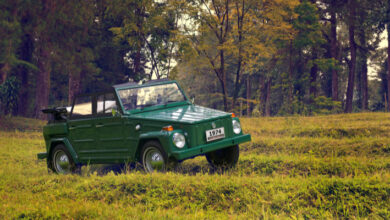 VW Thing